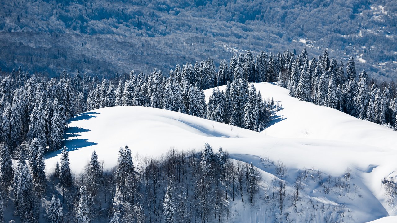 Обои деревья, горы, снег, лес, зима, россия, trees, mountains, snow, forest, winter, russia разрешение 2560x1707 Загрузить