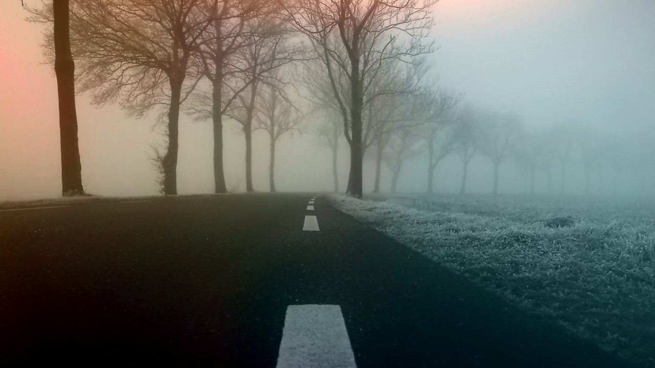 Обои дорога, деревья, природа, туман, road, trees, nature, fog разрешение 3840x2400 Загрузить
