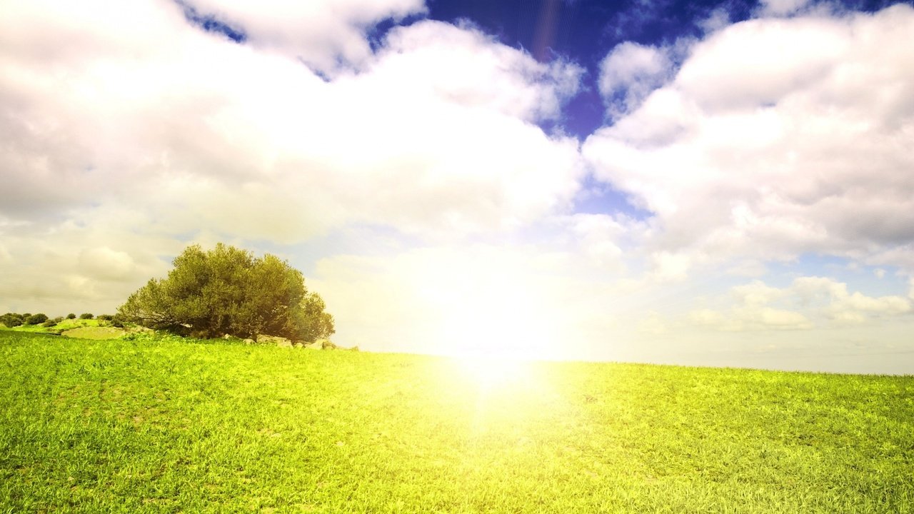 Обои небо, трава, облака, природа, дерево, пейзаж, лето, солнечный свет, the sky, grass, clouds, nature, tree, landscape, summer, sunlight разрешение 3840x2160 Загрузить