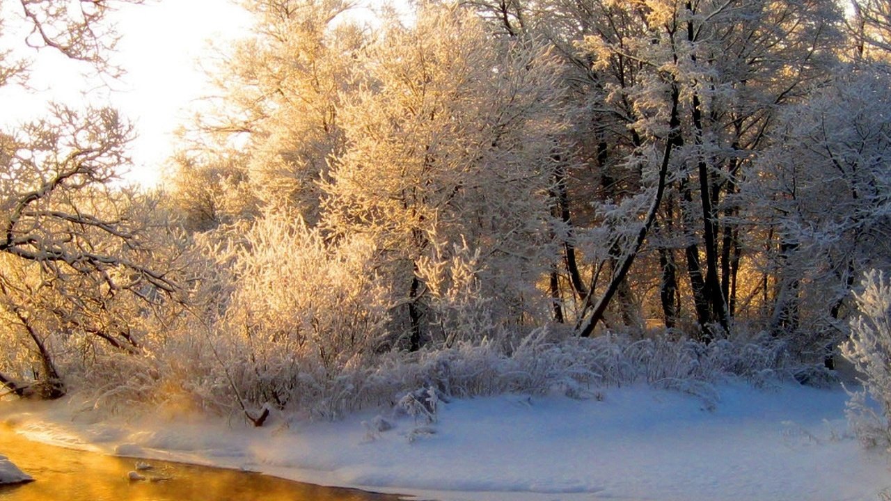 Обои свет, река, лес, зима, отражение, иней, оранжевый, седина, light, river, forest, winter, reflection, frost, orange, gray разрешение 3840x1200 Загрузить