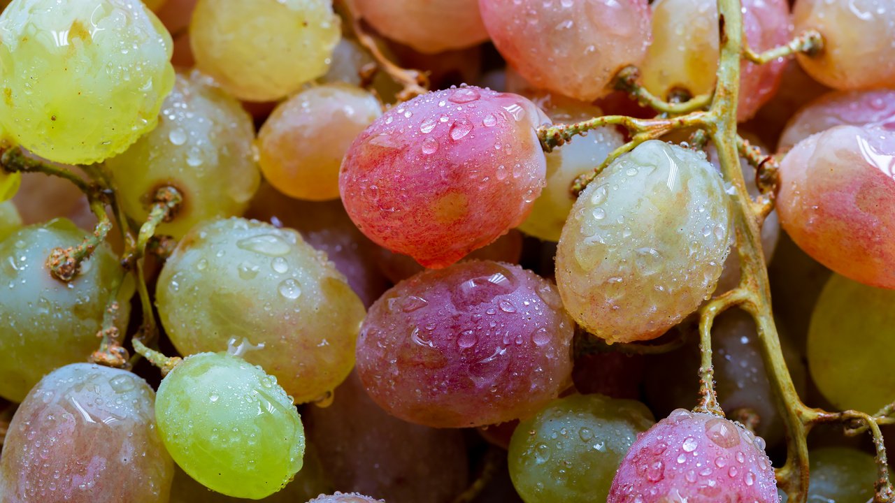 Обои виноград, ягоды, капли воды, крупным планом, grapes, berries, water drops, closeup разрешение 2304x1536 Загрузить