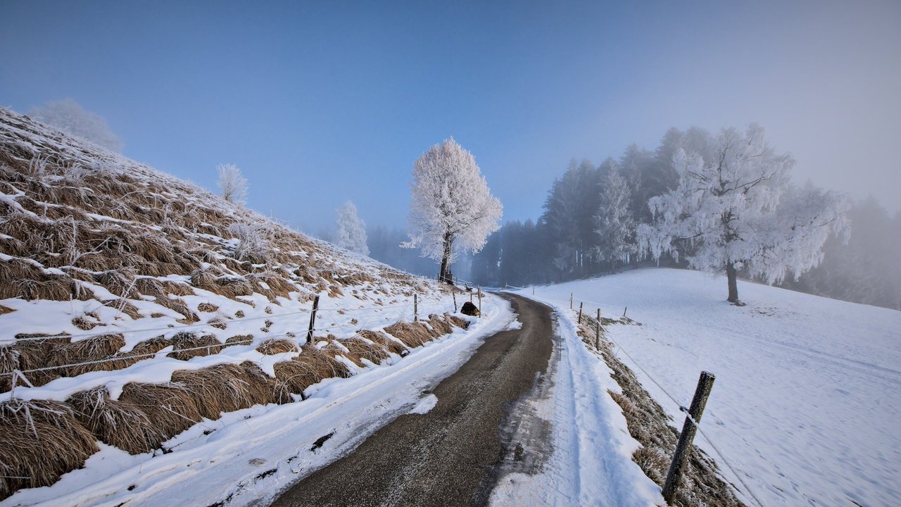 Обои небо, дорога, деревья, снег, зима, ограждение, the sky, road, trees, snow, winter, the fence разрешение 1920x1284 Загрузить