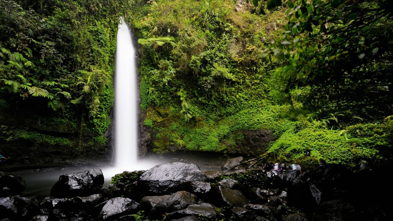 Обои лес, водопад, заросли, forest, waterfall, thickets разрешение 2880x1800 Загрузить