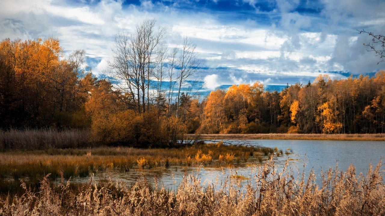 Обои озеро, лес, lake, forest разрешение 3840x2160 Загрузить