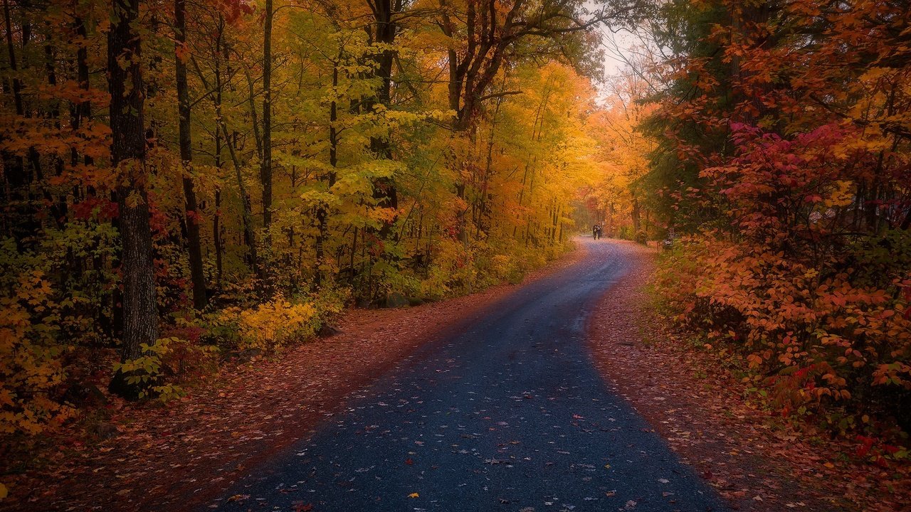 Обои дорога, осень, road, autumn разрешение 2048x1260 Загрузить
