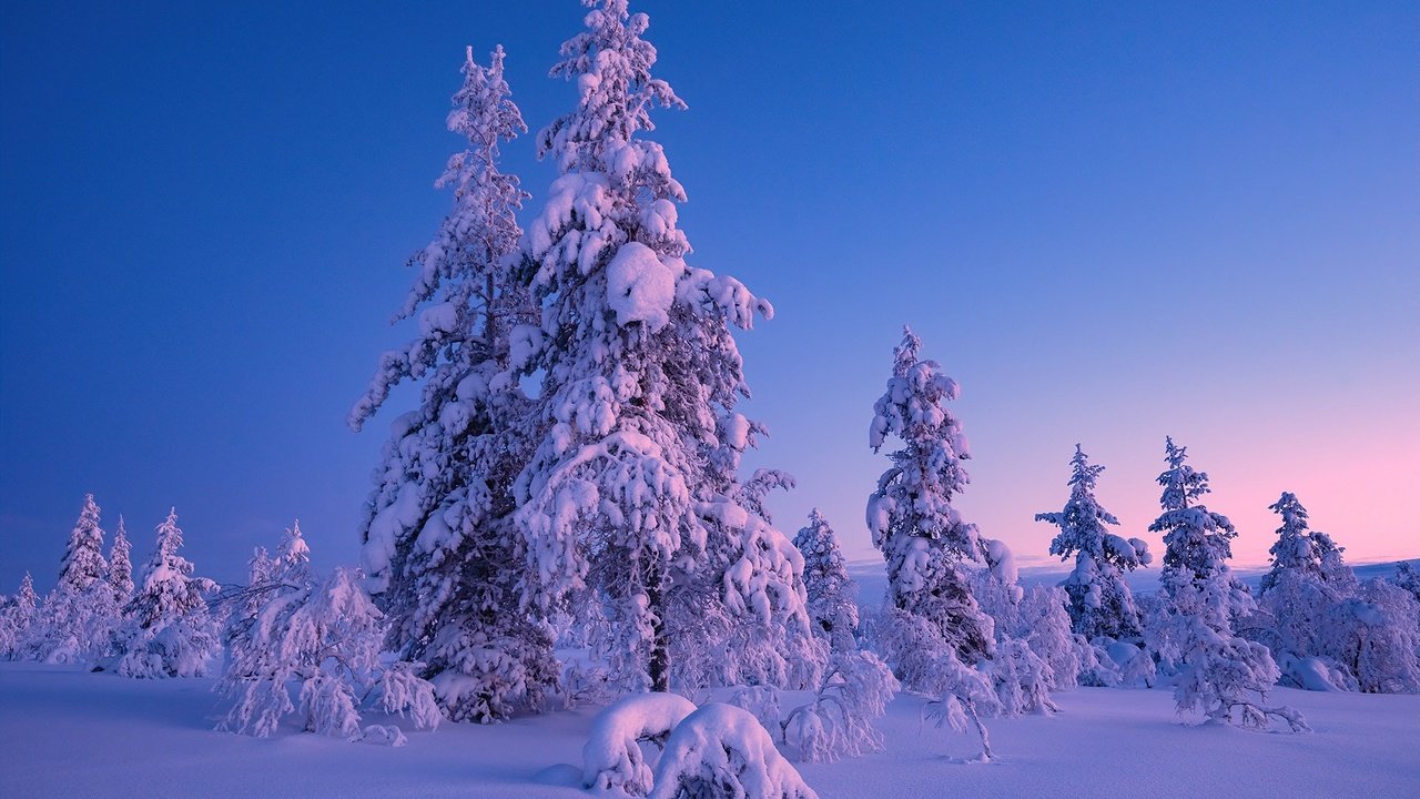 Обои снег, природа, snow, nature разрешение 1920x1282 Загрузить