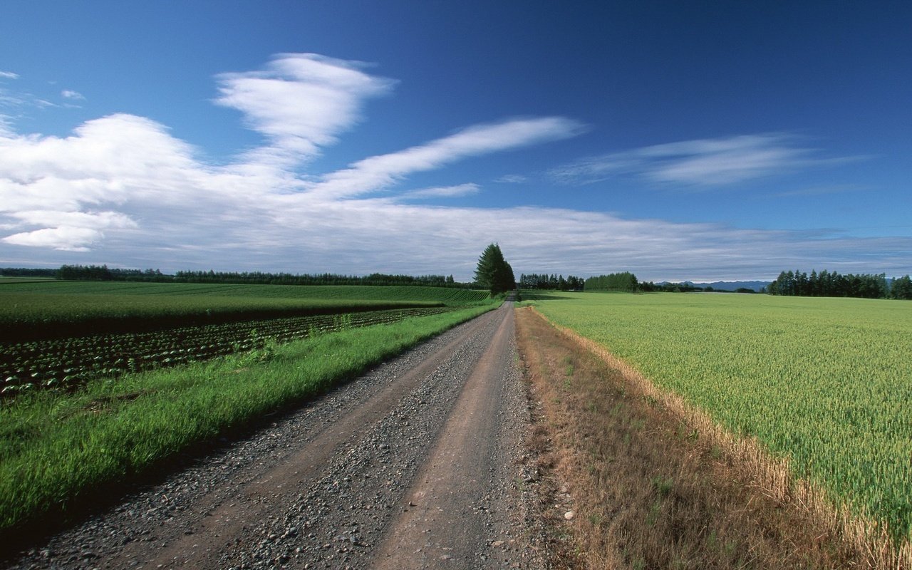 Обои дорога, облака, деревья, поле, road, clouds, trees, field разрешение 1920x1440 Загрузить