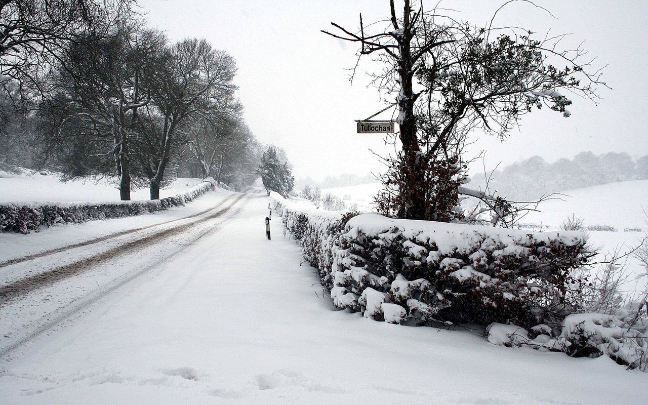 Обои дорога, снег, зима, road, snow, winter разрешение 2560x1600 Загрузить