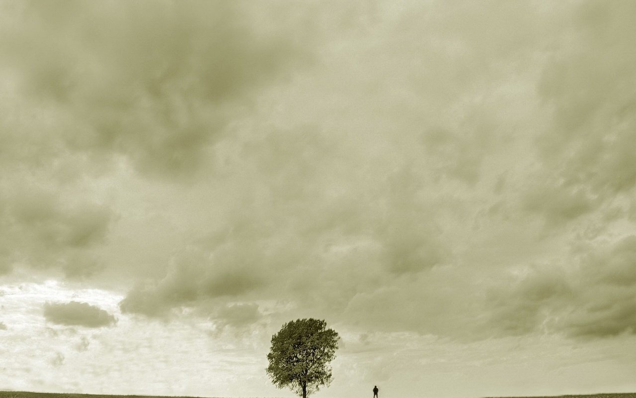 Обои дерево, грусть, человек, tree, sadness, people разрешение 1920x1440 Загрузить