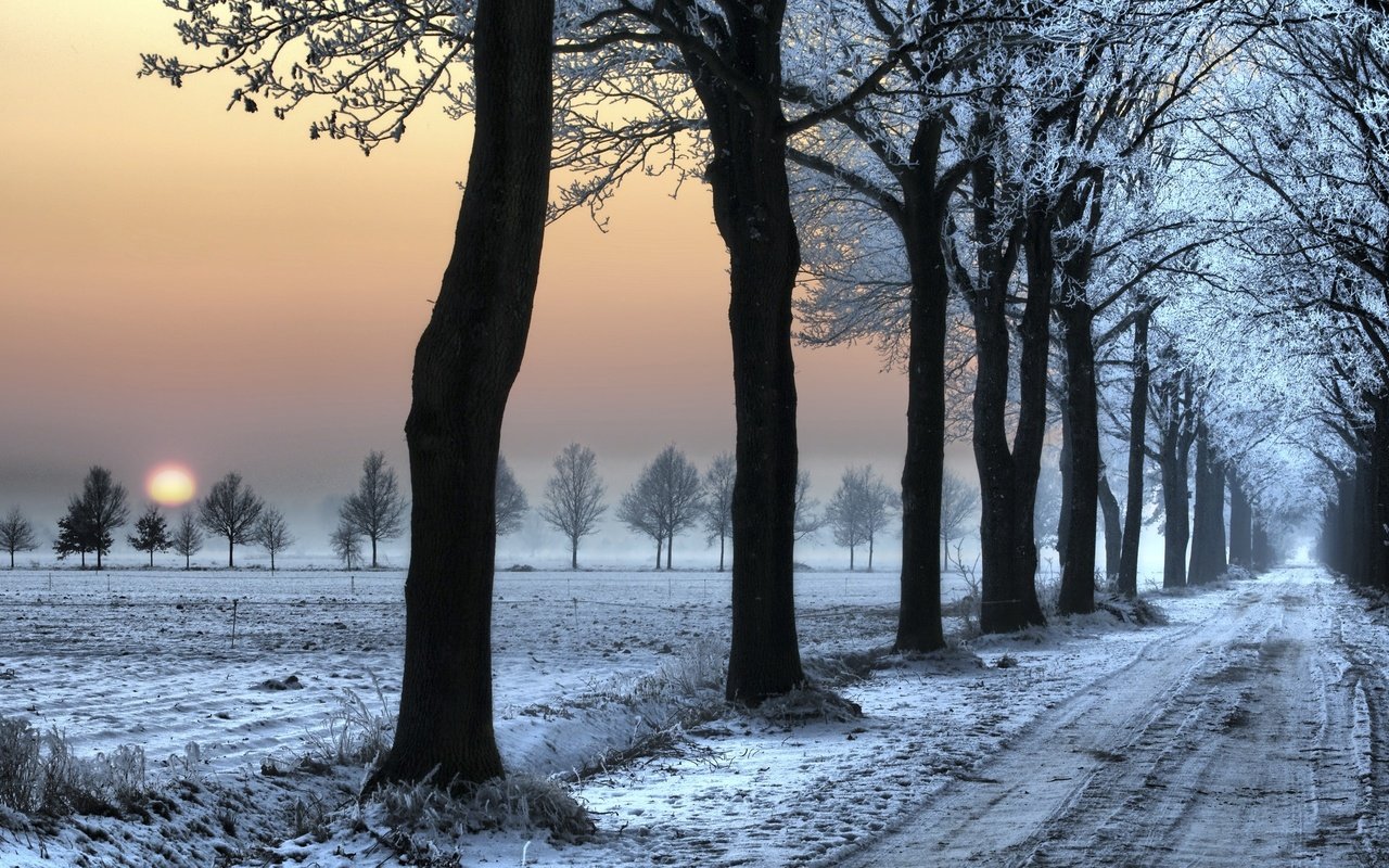 Обои дорога, снег, зима, следы, деревь, road, snow, winter, traces, trees разрешение 2560x1600 Загрузить