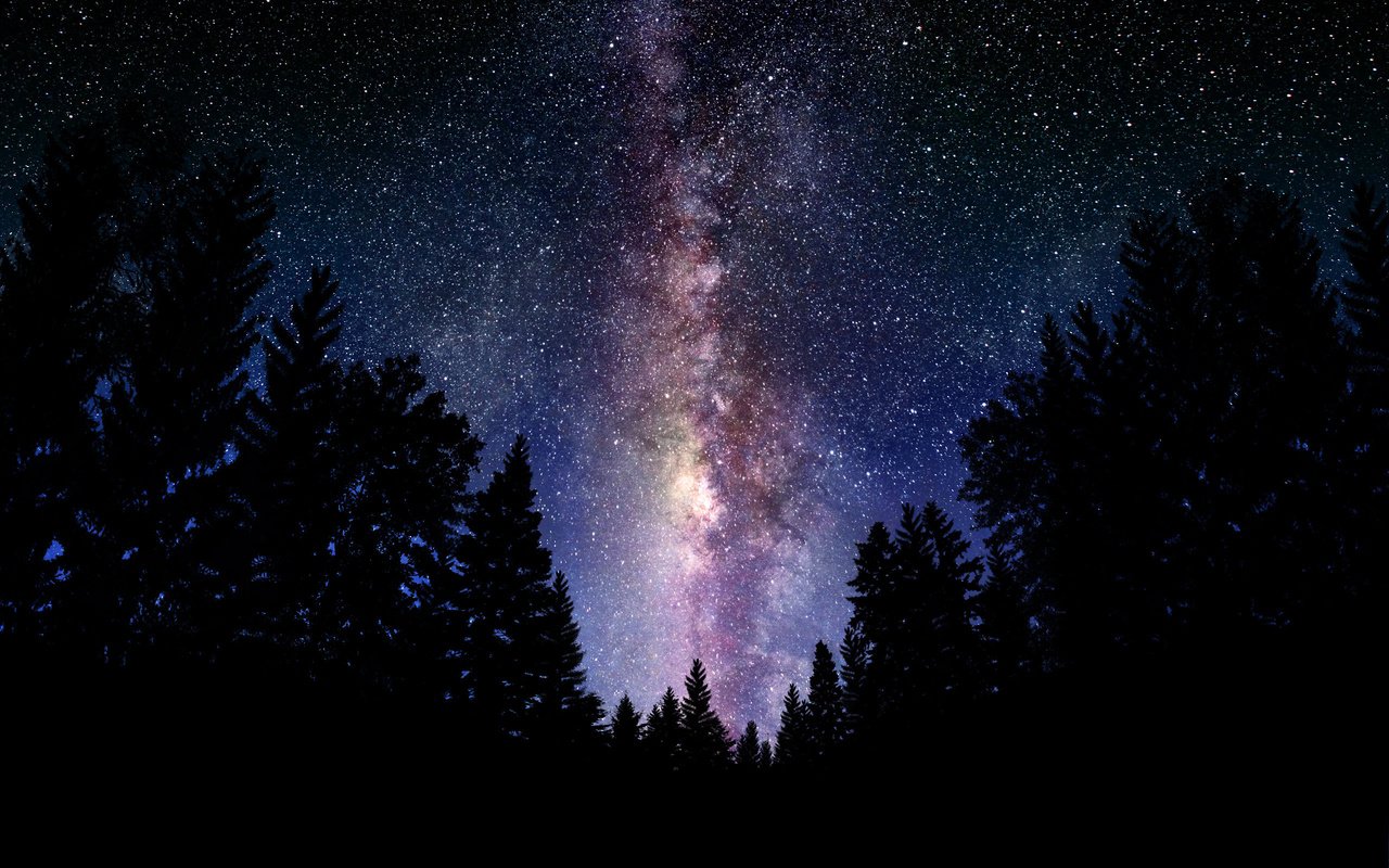 Обои небо, млечный путь, ночь, космос, обои, лес, фото, звезды, пейзажи, the sky, the milky way, night, space, wallpaper, forest, photo, stars, landscapes разрешение 2560x1600 Загрузить