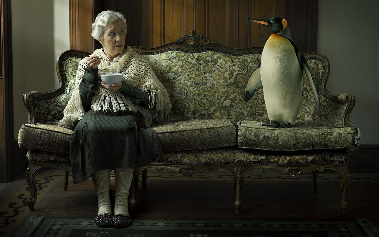Обои пингвин, диван, бабушка, penguin, sofa, grandma разрешение 2040x1080 Загрузить