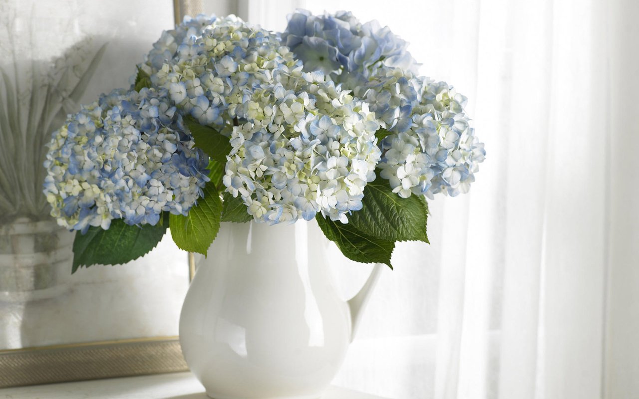 Обои цветы, картина, букет, белые, ваза, голубые, чистота, flowers, picture, bouquet, white, vase, blue, purity разрешение 1920x1200 Загрузить