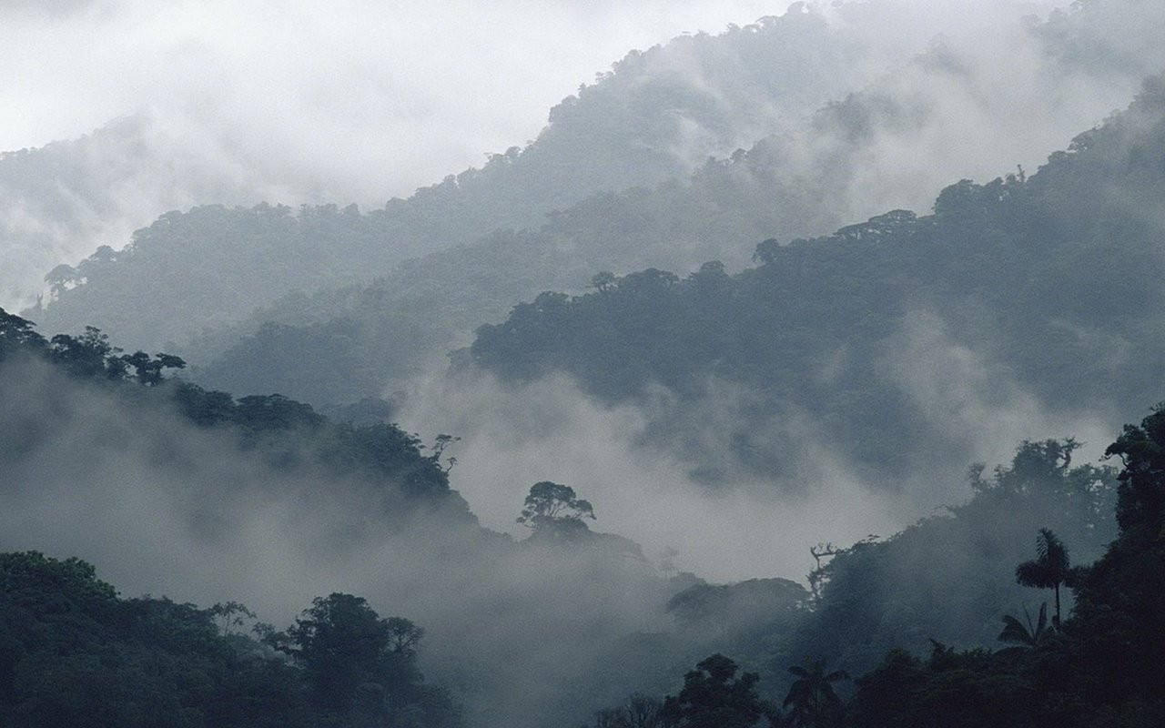 Обои деревья, горы, природа, пейзаж, туман, trees, mountains, nature, landscape, fog разрешение 1920x1080 Загрузить