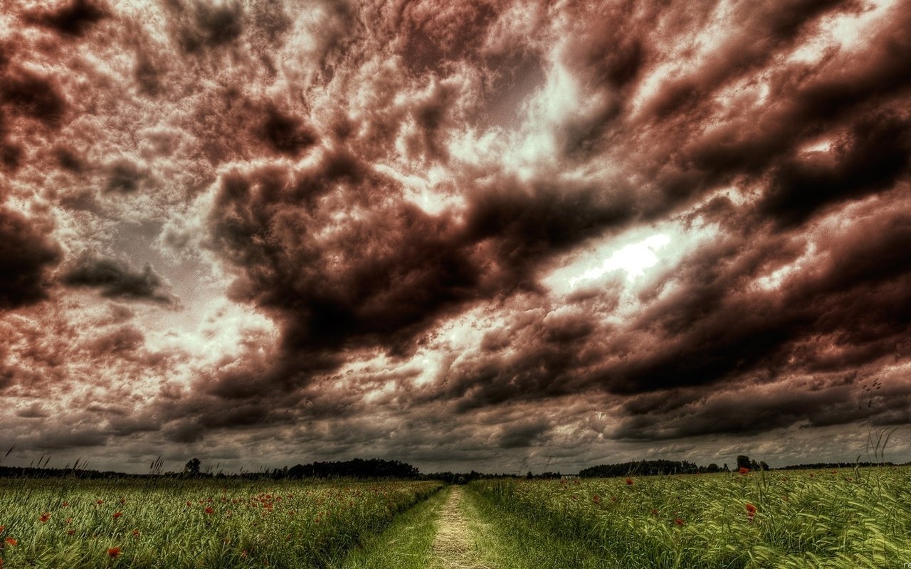 Обои небо, дорога, цветы, трава, деревья, тучи, поле, the sky, road, flowers, grass, trees, clouds, field разрешение 1920x1080 Загрузить