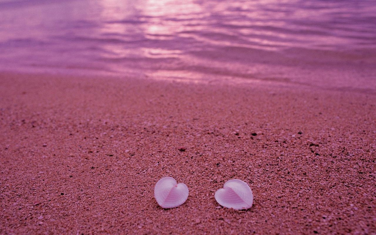 Обои берег, песок, пляж, сердце, ракушки, любовь, розовый, shore, sand, beach, heart, shell, love, pink разрешение 1920x1080 Загрузить