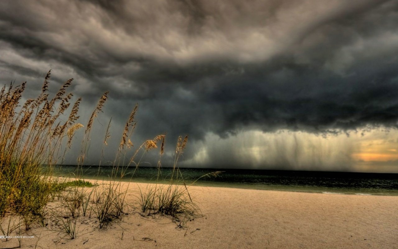 Обои небо, трава, берег, тучи, море, песок, пляж, колоски, the sky, grass, shore, clouds, sea, sand, beach, spikelets разрешение 1920x1080 Загрузить