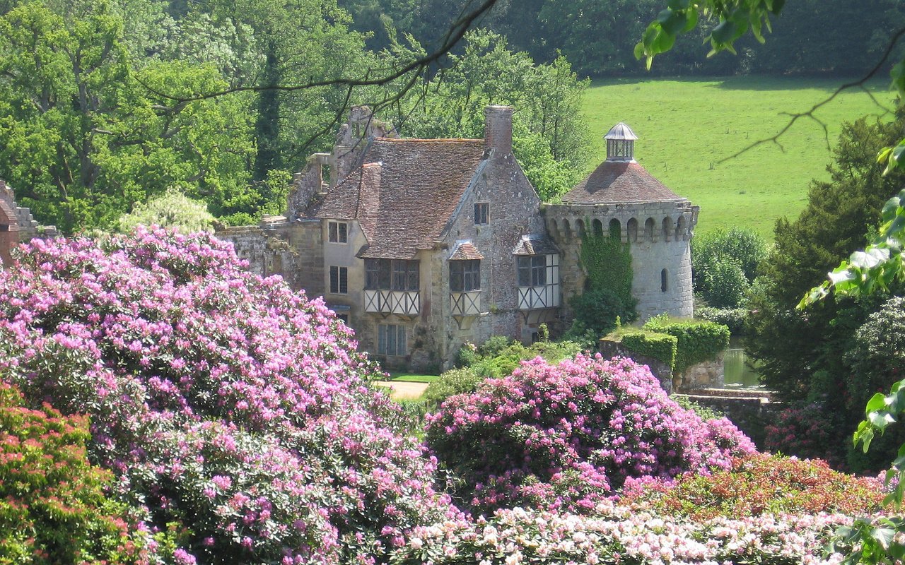 Обои цветы, зелень, лето, замок, flowers, greens, summer, castle разрешение 2272x1704 Загрузить