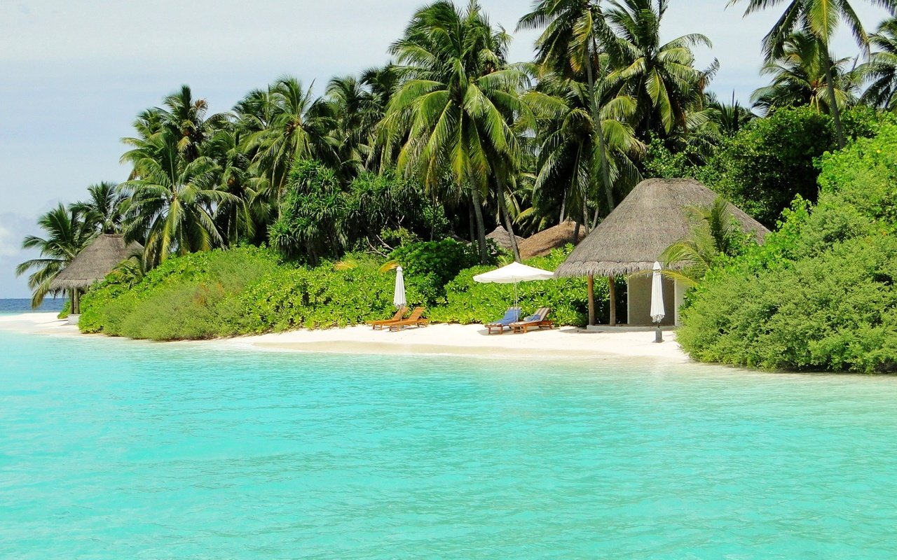 Обои пляж, пальмы, тропики, мальдивы, beach, palm trees, tropics, the maldives разрешение 2880x1800 Загрузить