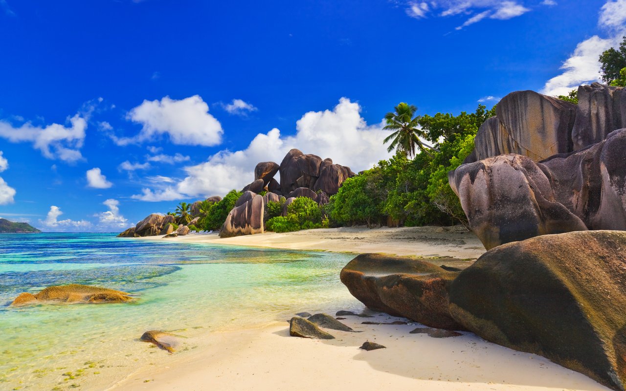 Обои камни, пляж, пальмы, сейшелы, stones, beach, palm trees, seychelles разрешение 4246x2827 Загрузить