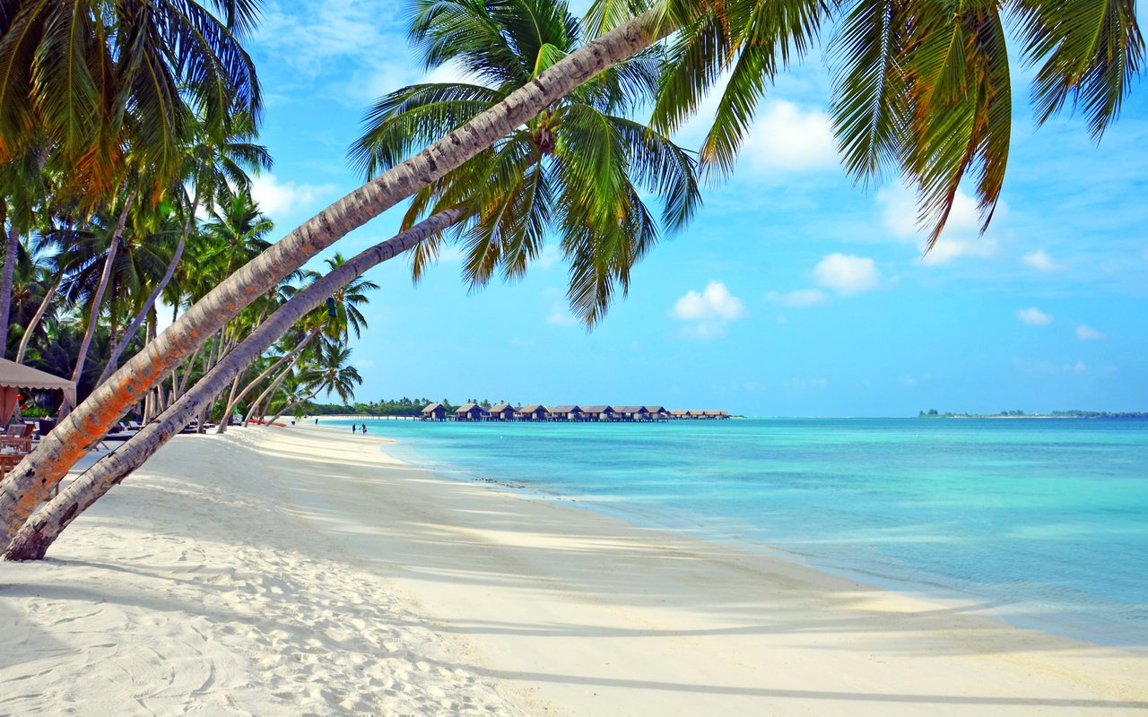 Обои море, пляж, отдых, тропики, мальдивы, sea, beach, stay, tropics, the maldives разрешение 4894x3212 Загрузить