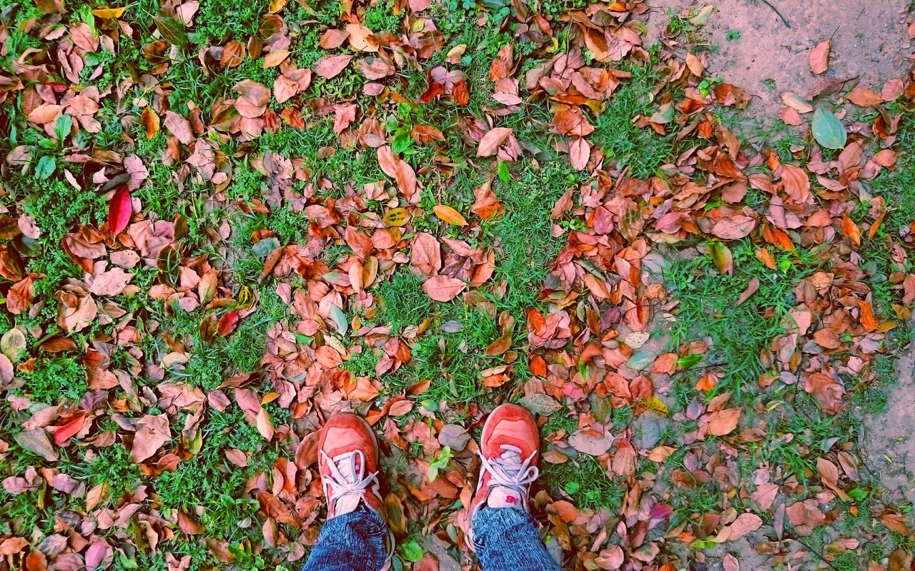 Обои листья, осень, ноги, листик, листопад, leaves, autumn, feet, leaf, falling leaves разрешение 2133x1200 Загрузить