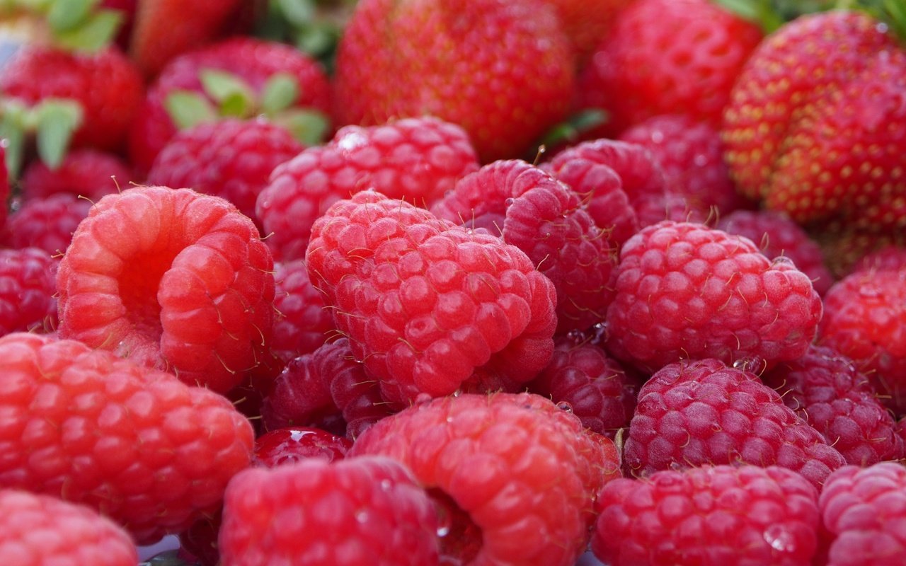 Обои макро, малина, ягоды, macro, raspberry, berries разрешение 4608x2592 Загрузить