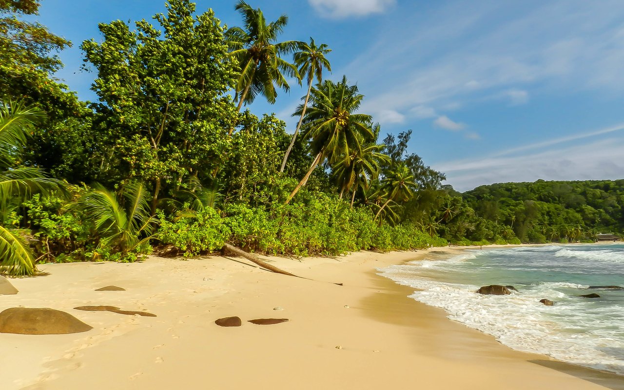 Обои деревья, берег, пейзаж, море, пальмы, отдых, сейшельские острова, trees, shore, landscape, sea, palm trees, stay, seychelles разрешение 3867x2901 Загрузить
