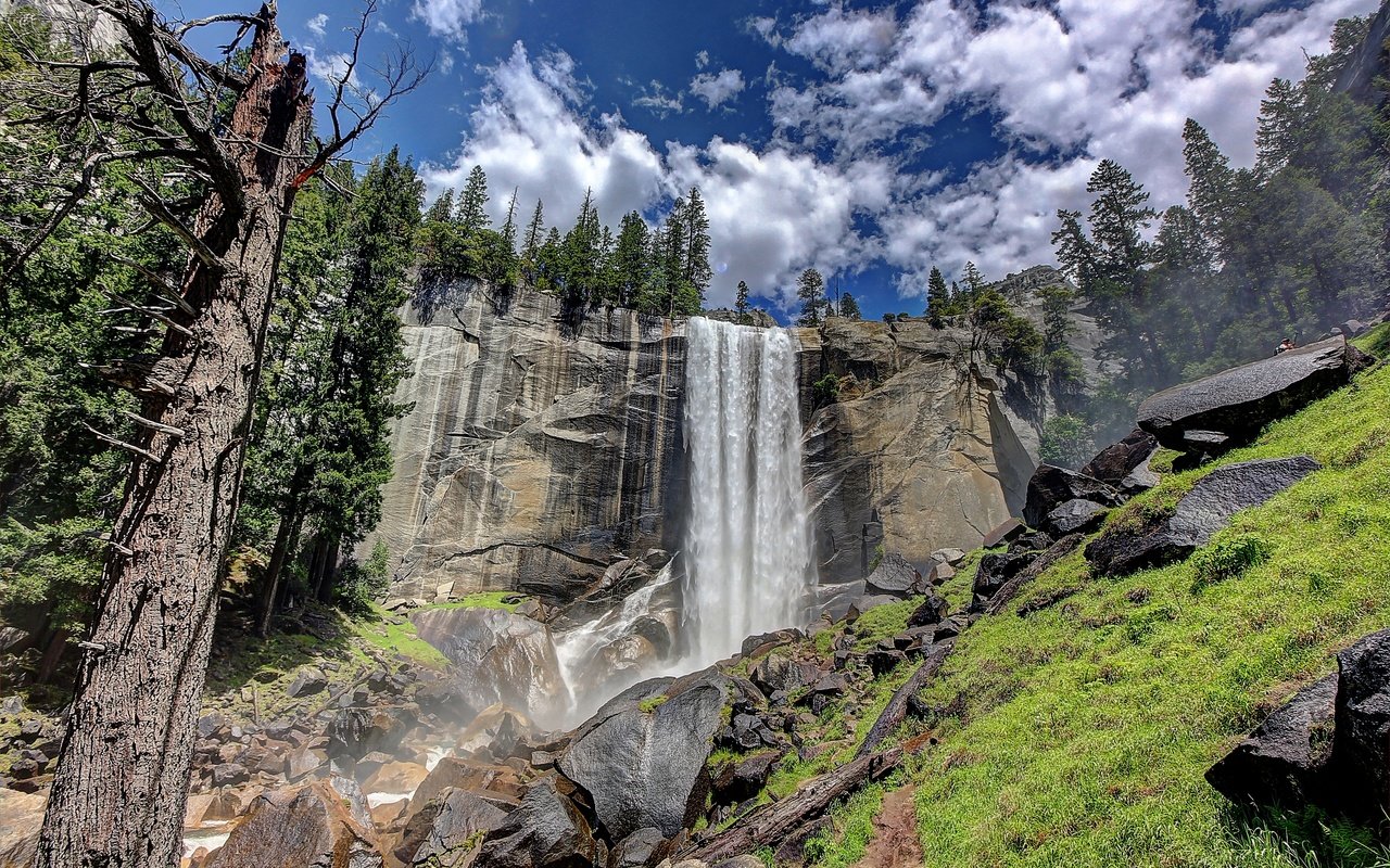 Обои деревья, скалы, пейзаж, водопад, йосемитский национальный парк, trees, rocks, landscape, waterfall, yosemite national park разрешение 2880x1901 Загрузить