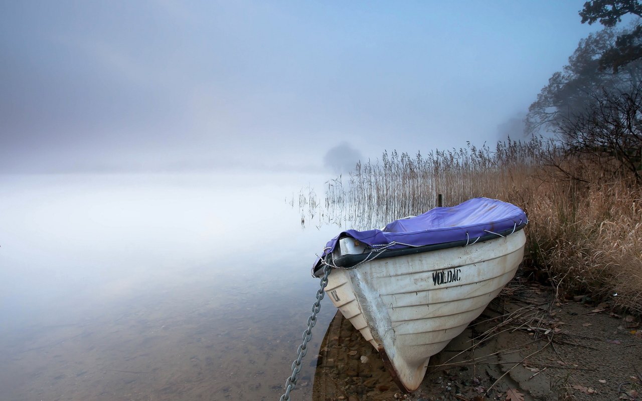 Обои озеро, пейзаж, туман, лодка, lake, landscape, fog, boat разрешение 2560x1600 Загрузить