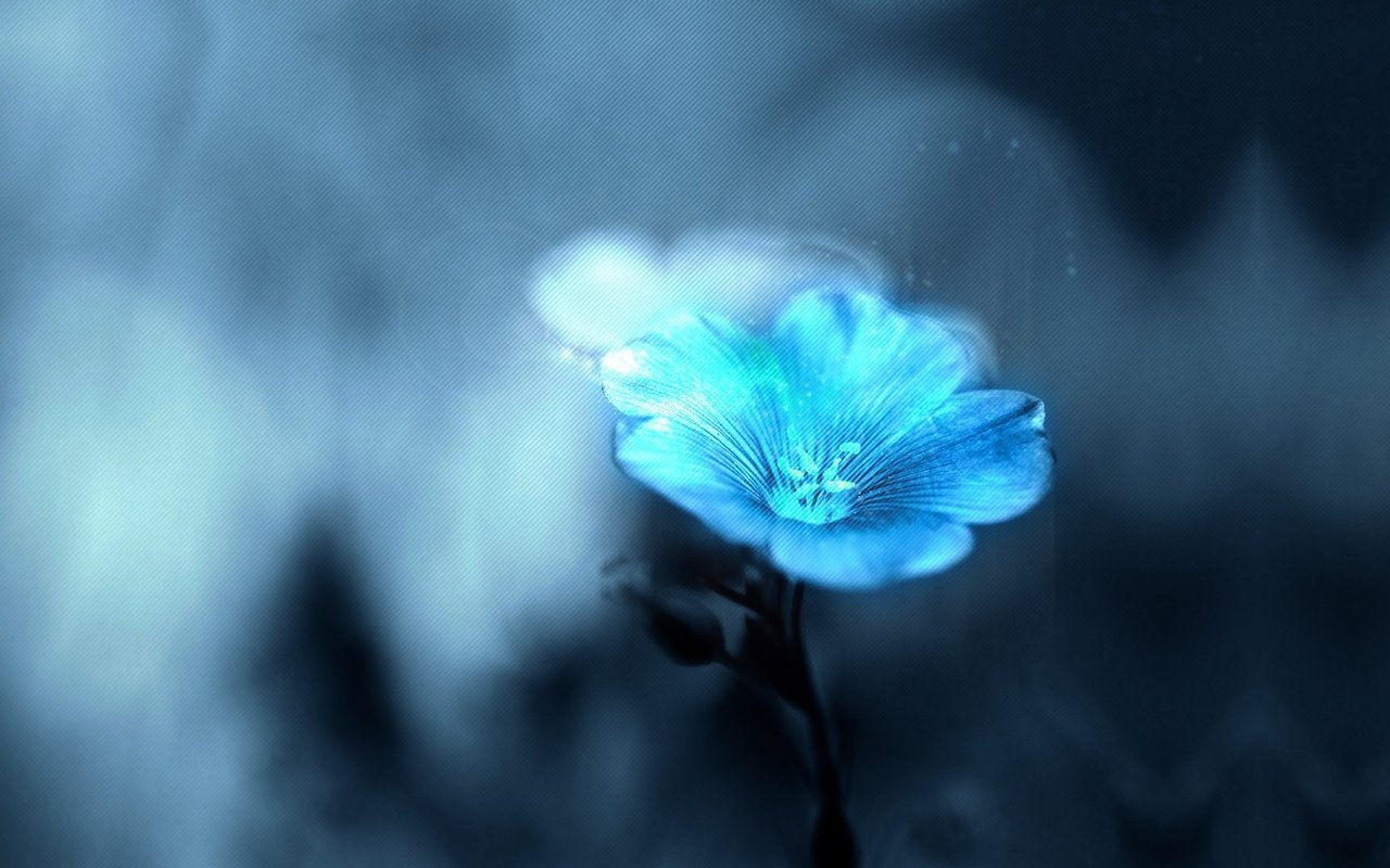Обои цветок, размытость,  цветы, размытый, flower, blur, flowers, blurred разрешение 1920x1080 Загрузить
