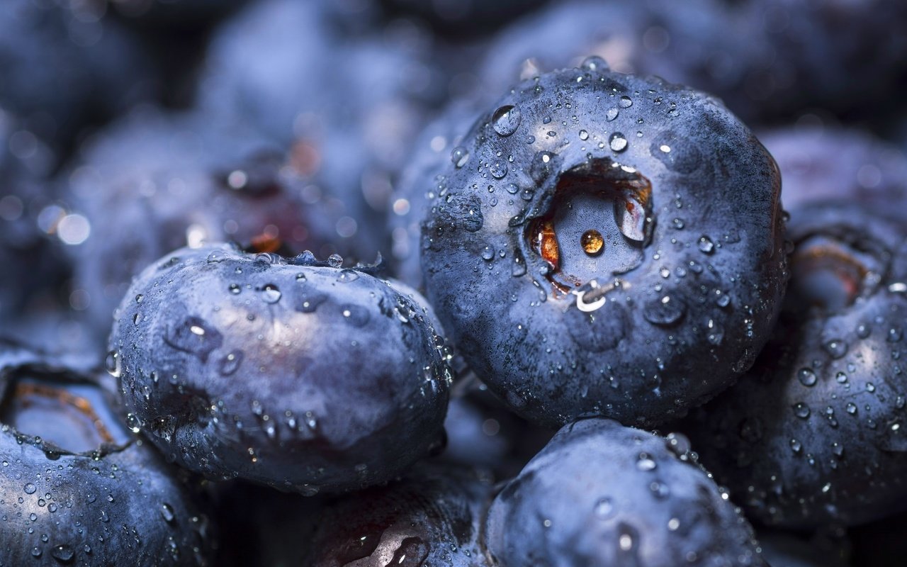 Обои макро, ягоды, черника, macro, berries, blueberries разрешение 2048x1365 Загрузить