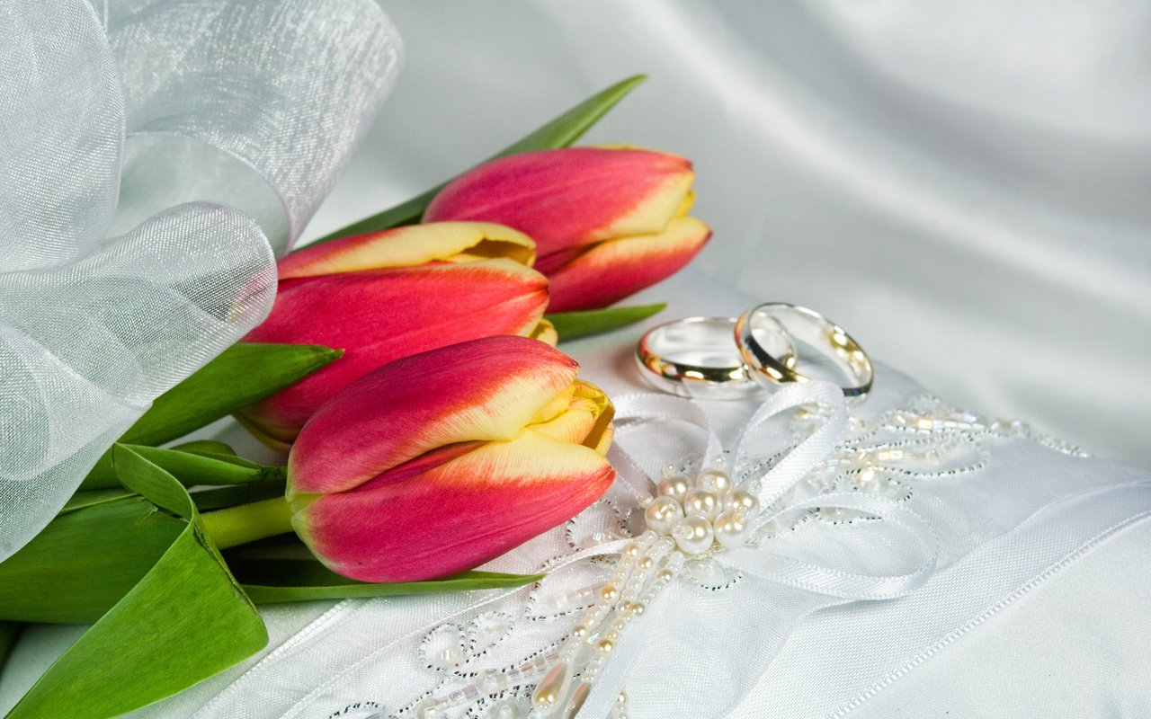 Обои украшения, ленточки, тюльпаны, кольца, decoration, ribbons, tulips, ring разрешение 3872x2592 Загрузить