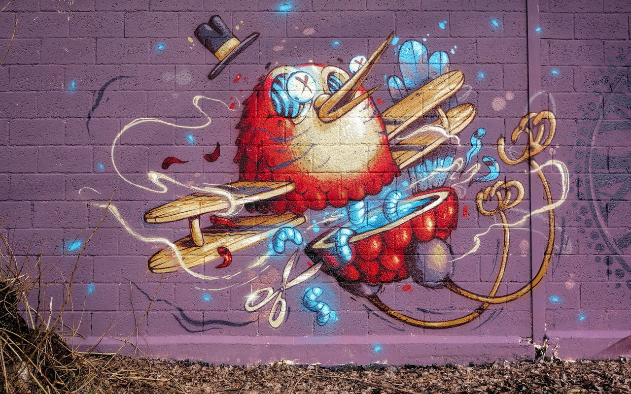 Обои арт, город, стена, птица, графити, art, the city, wall, bird, grafiti разрешение 2047x1310 Загрузить