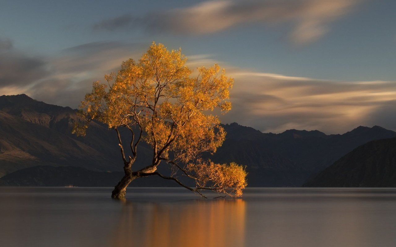 Обои вода, озеро, горы, природа, дерево, осень, новая зеландия, water, lake, mountains, nature, tree, autumn, new zealand разрешение 2198x1466 Загрузить