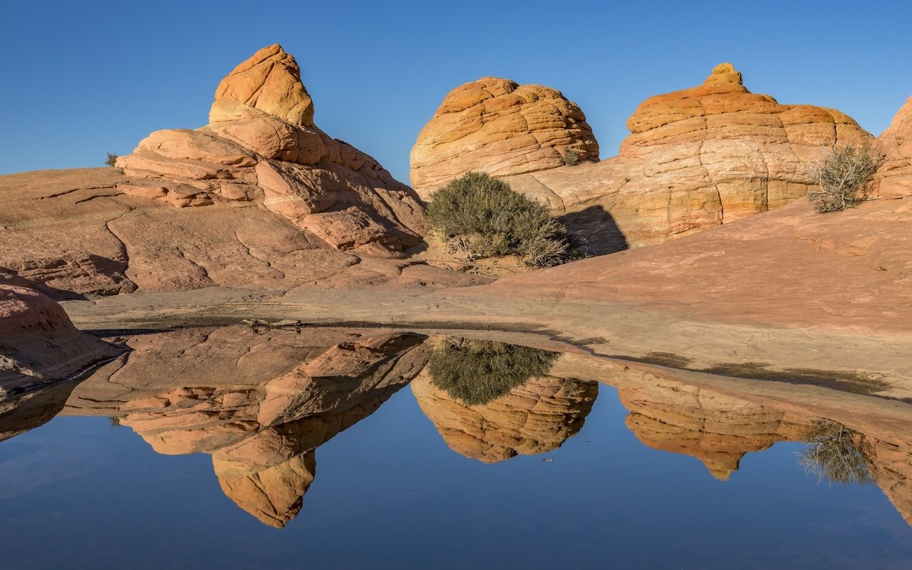 Обои вода, скалы, отражение, каньон, сша, аризона, coyote buttes, coconino, water, rocks, reflection, canyon, usa, az разрешение 2048x1367 Загрузить