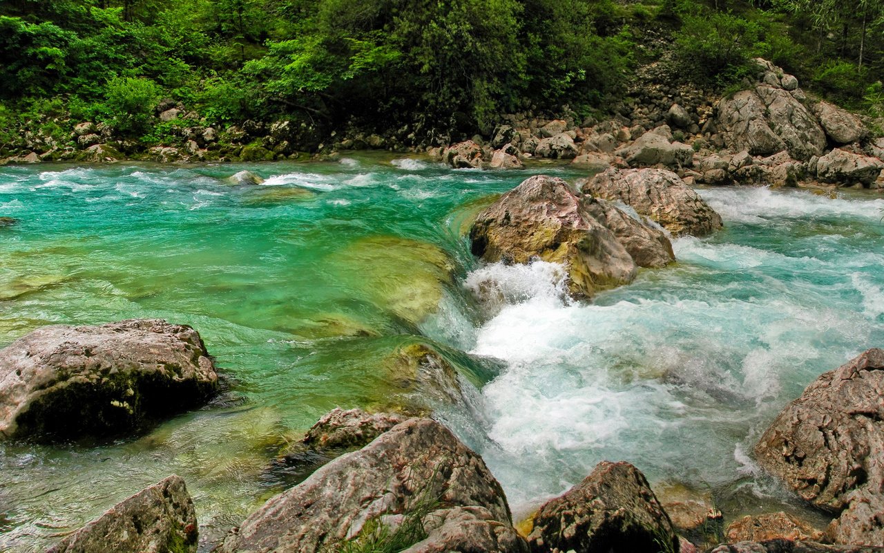 Обои река, камни, пороги, течение, словения, растиьельность, river, stones, thresholds, for, slovenia, rastitelnosti разрешение 2560x1600 Загрузить