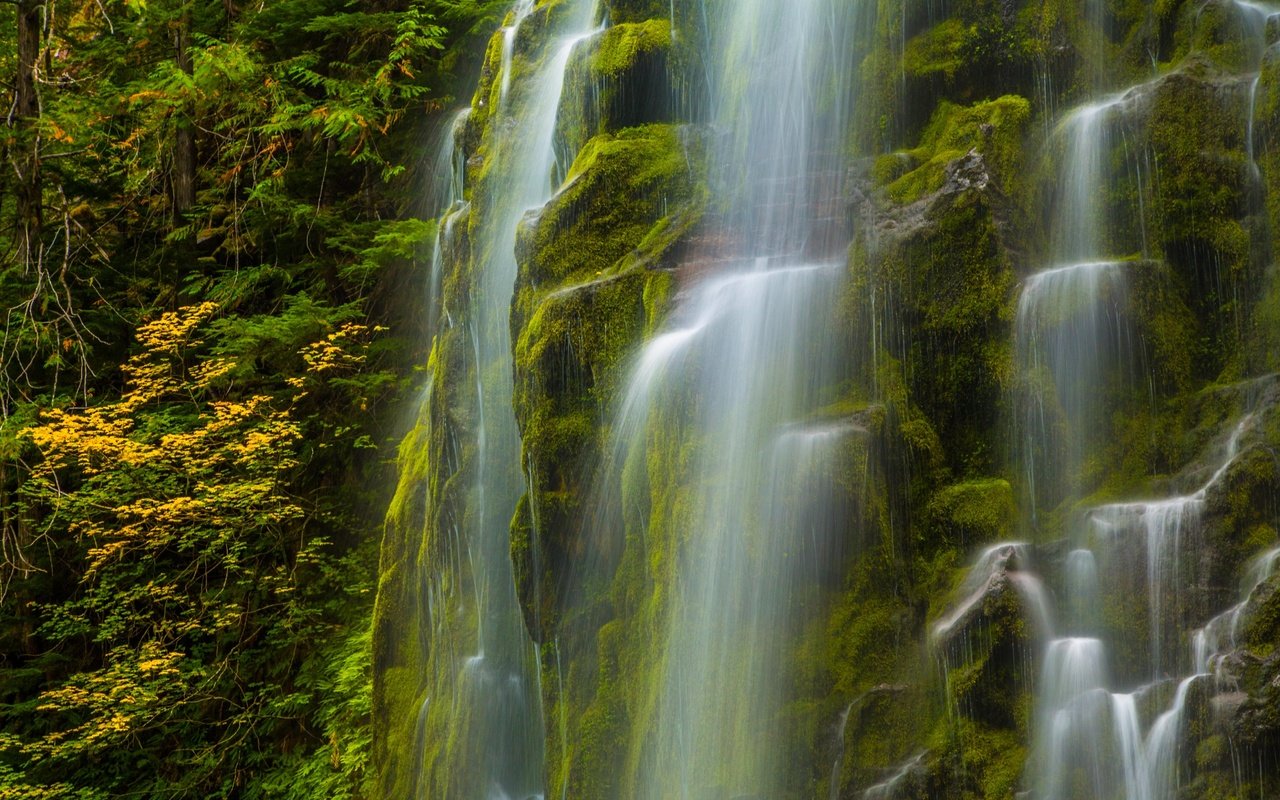 Обои природа, водопад, сша, мох, орегон, nature, waterfall, usa, moss, oregon разрешение 4652x2957 Загрузить