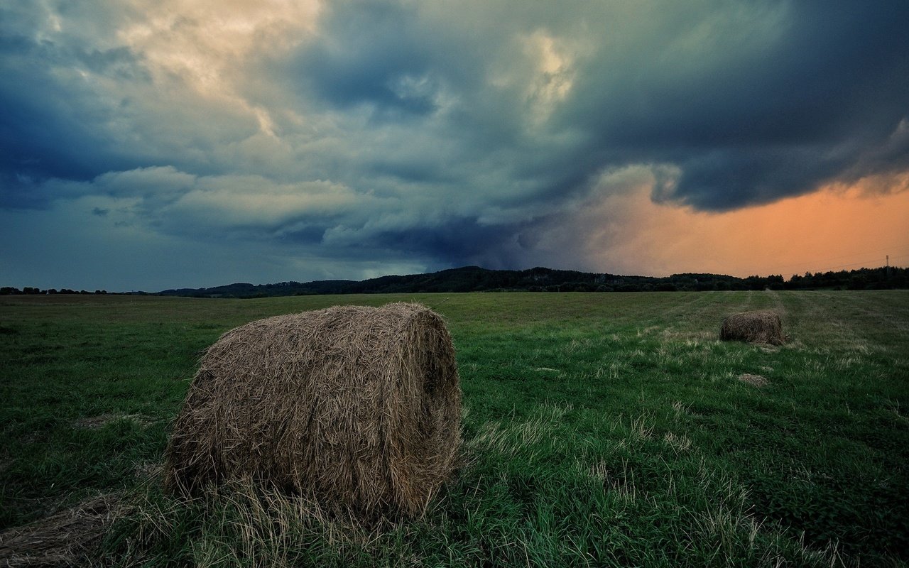 Обои небо, трава, облака, поле, горизонт, сено, тюки, рулоны, the sky, grass, clouds, field, horizon, hay, bales, rolls разрешение 1920x1275 Загрузить