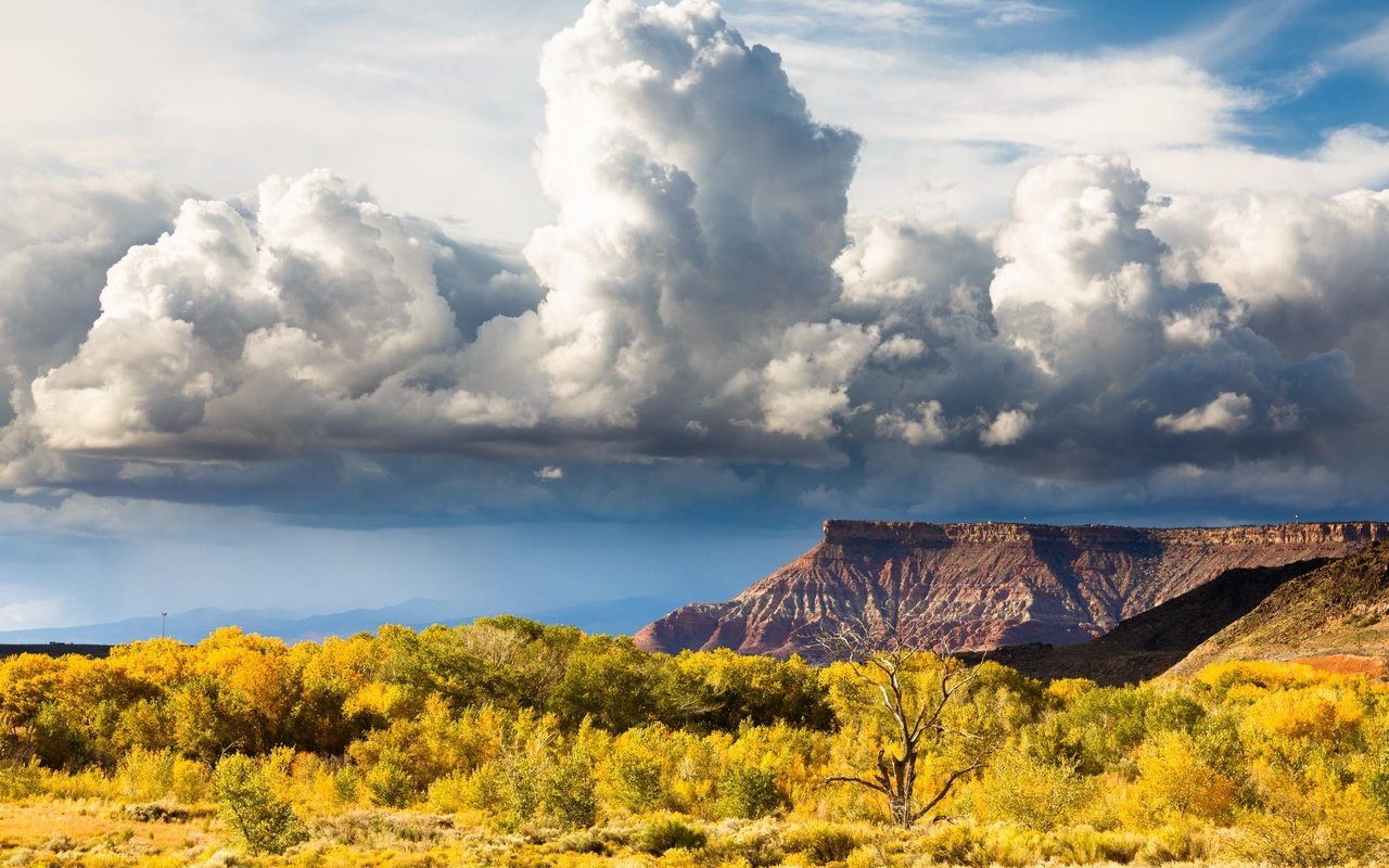 Обои небо, холм, облака, долина, природа, zion national park, горный хребет, пейзаж, поле, горизонт, луг, пастбище, the sky, hill, clouds, valley, nature, mountain range, landscape, field, horizon, meadow, pasture разрешение 2048x1365 Загрузить