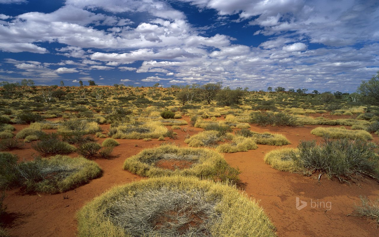 Обои небо, трава, облака, пустыня, австралия, кольца, the sky, grass, clouds, desert, australia, ring разрешение 1920x1200 Загрузить