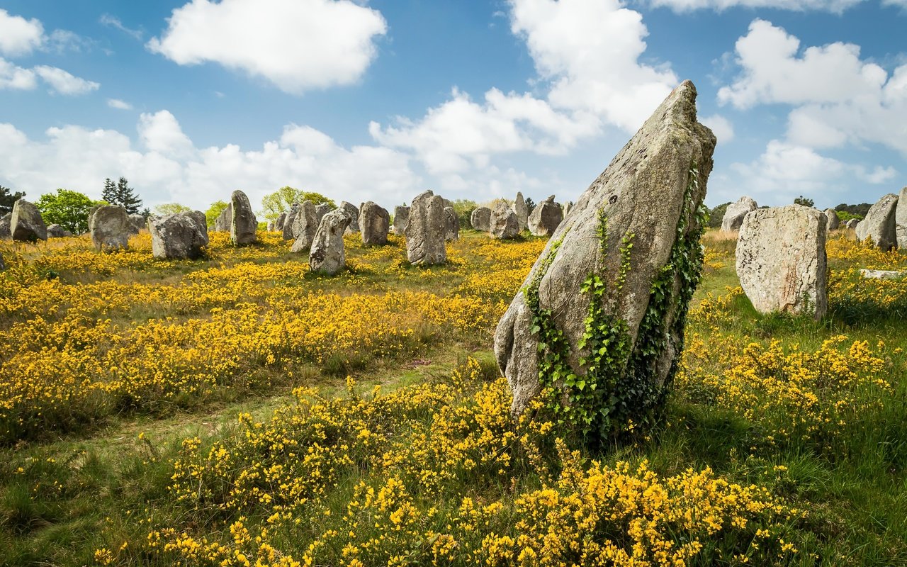 Обои небо, цветы, облака, камни, лето, the sky, flowers, clouds, stones, summer разрешение 5000x3571 Загрузить