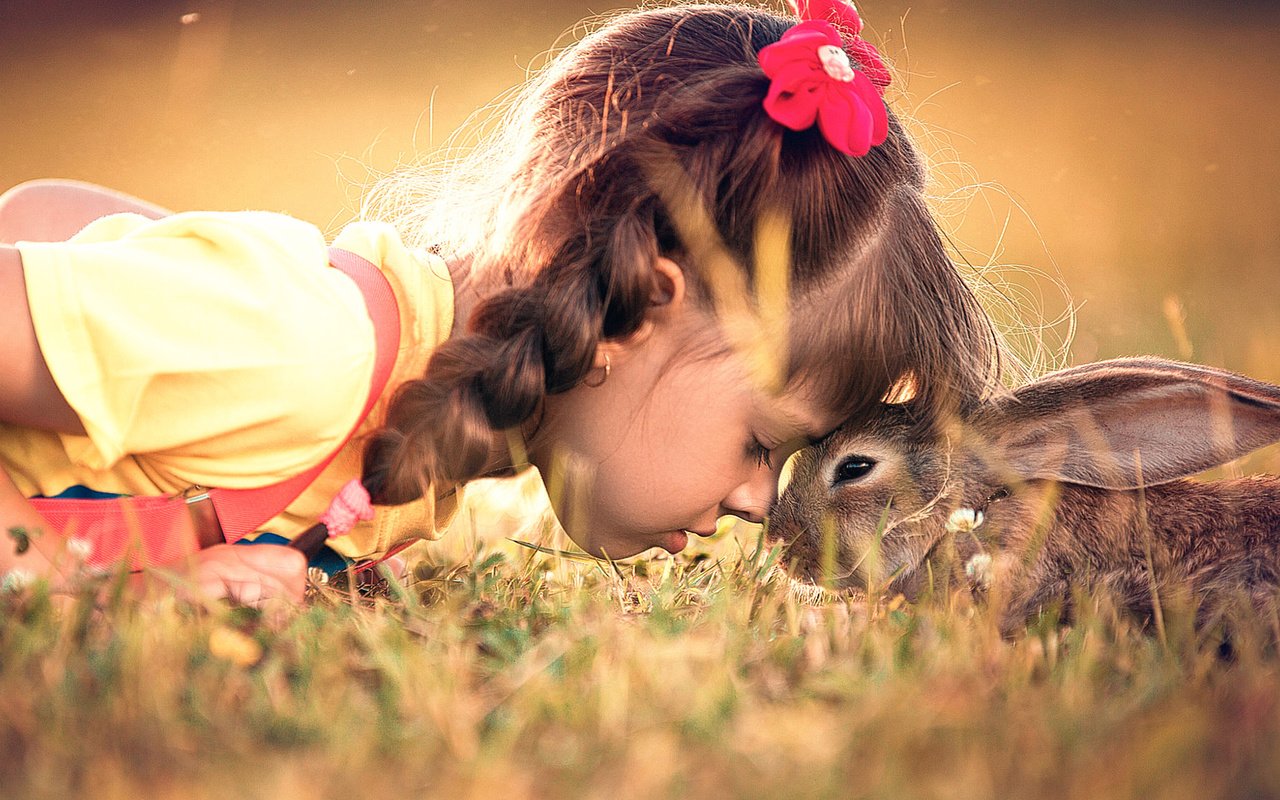 Обои девочка, кролик, дружба, заяц, girl, rabbit, friendship, hare разрешение 1920x1080 Загрузить