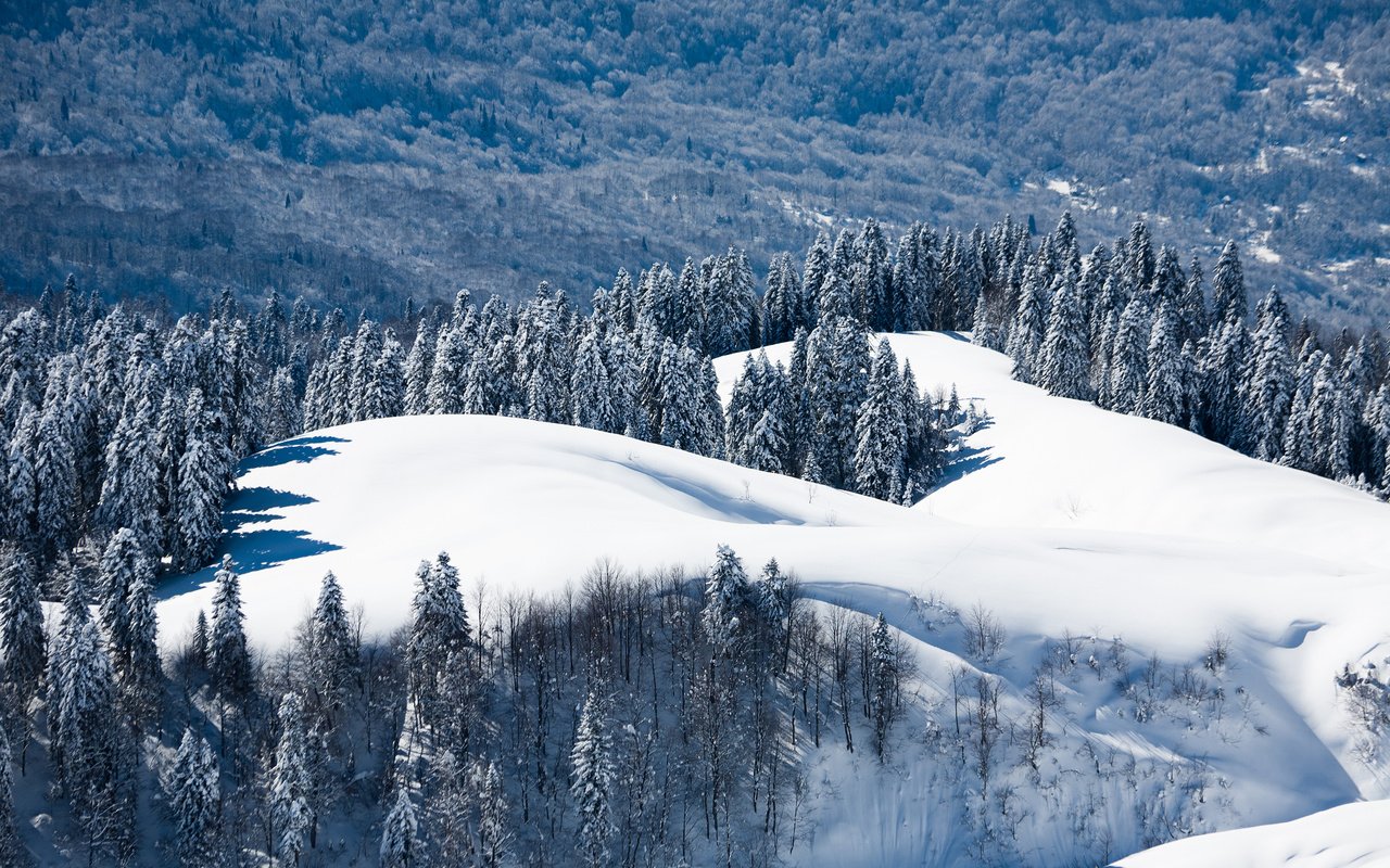 Обои деревья, горы, снег, лес, зима, россия, trees, mountains, snow, forest, winter, russia разрешение 2560x1707 Загрузить