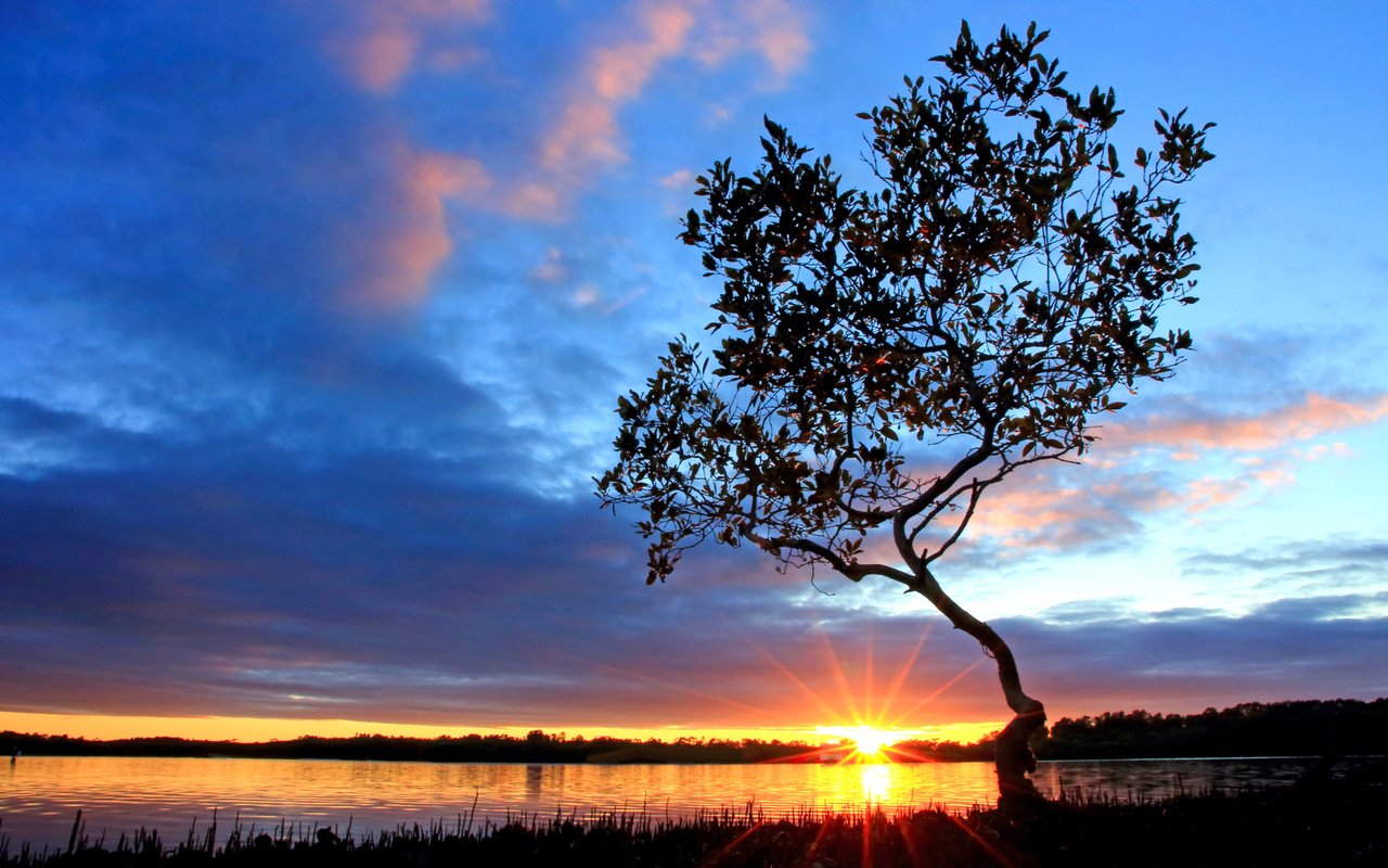 Обои озеро, дерево, закат, 9, lake, tree, sunset разрешение 4641x3094 Загрузить