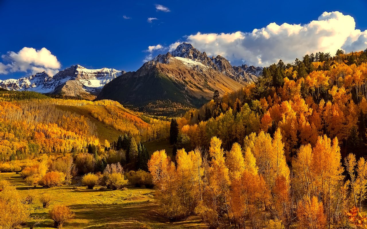 Обои небо, облака, деревья, горы, природа, лес, осень, колорадо, the sky, clouds, trees, mountains, nature, forest, autumn, colorado разрешение 1920x1200 Загрузить