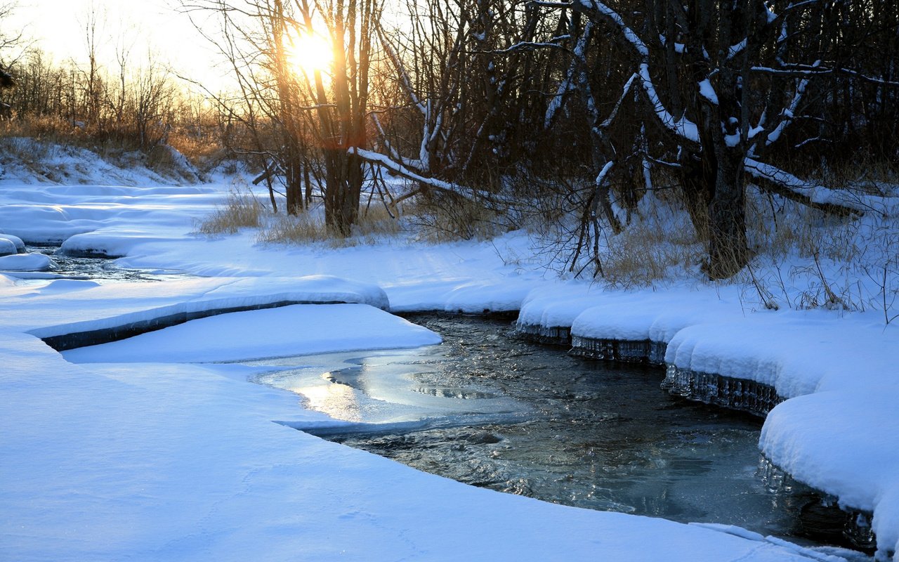 Обои деревья, река, снег, природа, зима, trees, river, snow, nature, winter разрешение 1920x1200 Загрузить