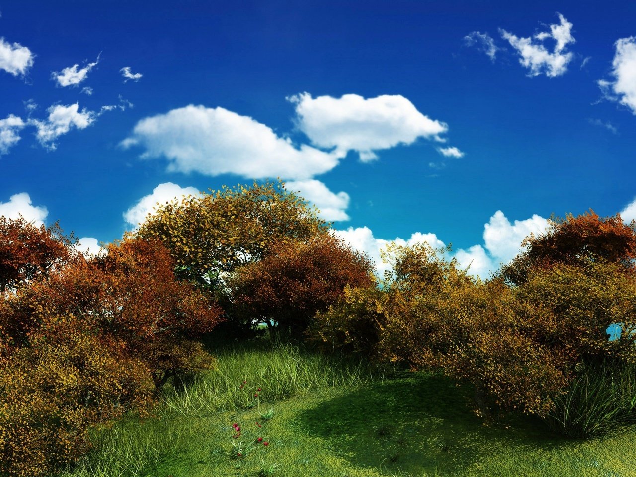 Обои небо, облака, зелень, куст, the sky, clouds, greens, bush разрешение 2560x1600 Загрузить