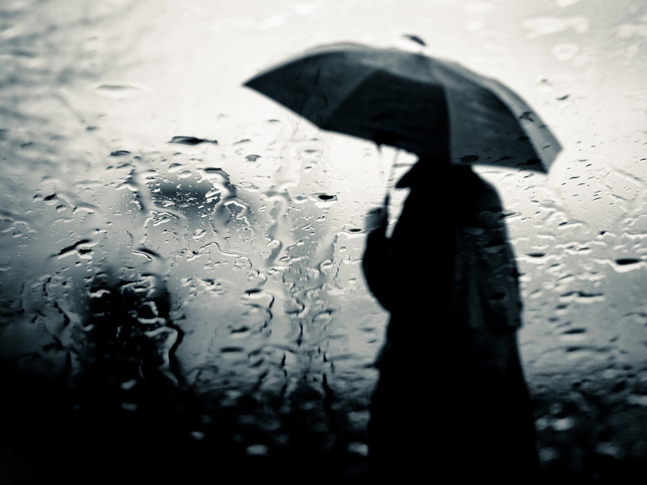 Дождь человек под зонтом
