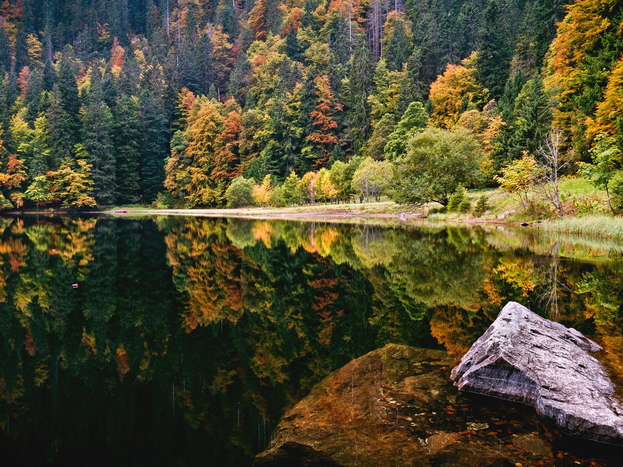 Обои деревья, озеро, лес, осень, камень, trees, lake, forest, autumn, stone разрешение 1920x1080 Загрузить